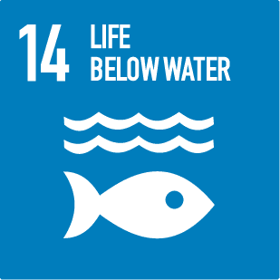 SDG 14